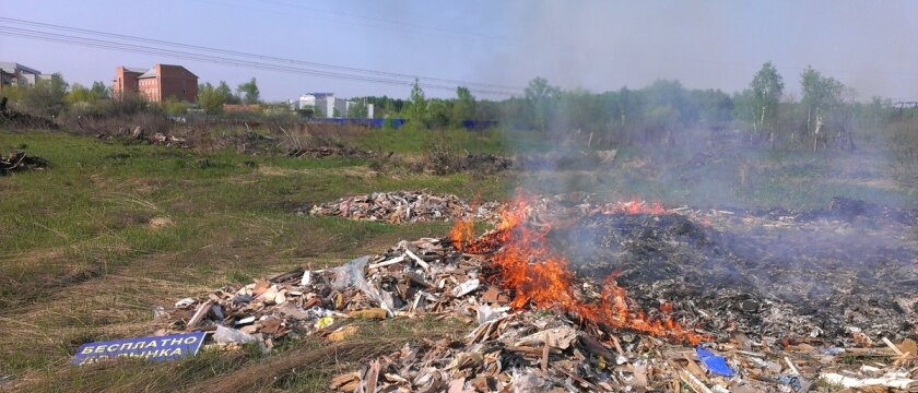 Пожар на свалке в Ивантеевке