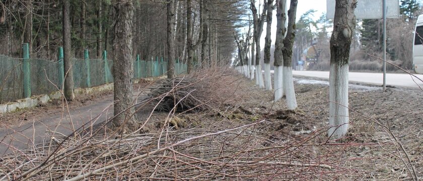администрация города отчиталась за 13-19 марта 2015, кое-где залатали ямы на дорогах, на Детской восстановили ограждение и вдоль Ивантеевского шоссе кронировали деревья